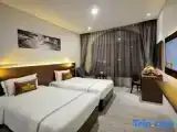 Двухместный номер Superior с видом на город