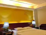 Одноместный номер Luxury