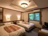 Двухместный номер Western-Style