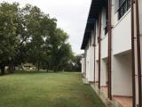 Run of House