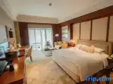 Место под палатку