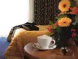 Двухместный номер Superior с видом на парк