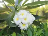 Вилла Deluxe