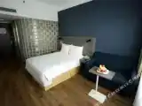 Двухместный номер Business