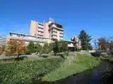 Run of House