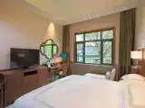 Номер Deluxe с видом на сад