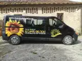 Run of House