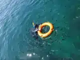 Номер Superior
