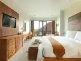 Двухместный номер Premier с балконом и с видом на сад