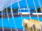 Одноместный номер Стандарт с видом на сад