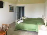 Run of House