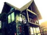 Run of House