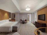 Двухместный номер Lounge Access Executive