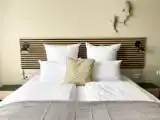 Двухместный полулюкс