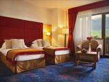 Номер Deluxe с видом на горы