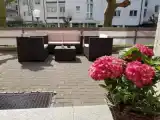 Run of House