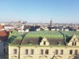 Апартаменты Deluxe с балконом и с видом на город