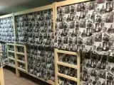 Кровать в общем номере