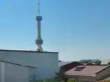 Номер Superior