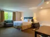 Двухместный номер Luxury с балконом