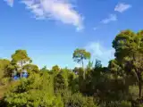 Двухместный номер Стандарт с видом на море
