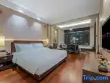Двухместный семейный номер Premier