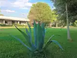 Четырёхместный номер Стандарт