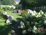 Тент