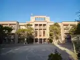 Стандарт 1-местный