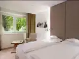 Двухместный номер Deluxe с балконом и с видом на парк