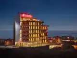 1 King Bed Accessible Room
