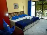 Номер Стандарт с видом на сад