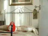 Семейный номер Стандарт
