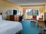 Люкс c 1 комнатой