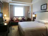 Двухместный номер Deluxe с видом на город