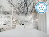 Двухместный номер Deluxe