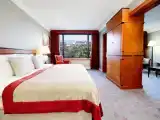 Двухместный люкс Grand Castle с видом на реку