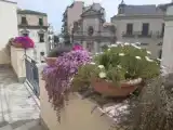 Run of House