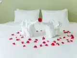 Run of House