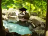 Номер Superior с видом на реку