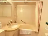 Двухместный номер Deluxe с видом на горы