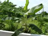 Номер Стандарт с балконом