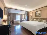 Четырёхместный семейный номер Стандарт