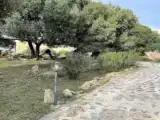 Двухместная семейная студия