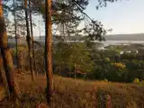 Коттедж с балконом и с красивым видом из окна