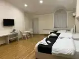 Трёхместный номер Стандарт с видом на город