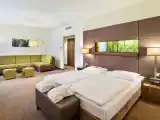 Двухместный номер  Superior Executive