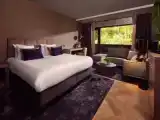 Номер Deluxe