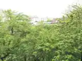 Номер Deluxe