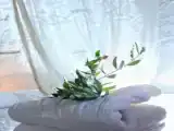 Студия Эконом
